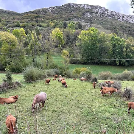 Casa - Casa De Montana Con Encanto A 20 Min De San Isidro *